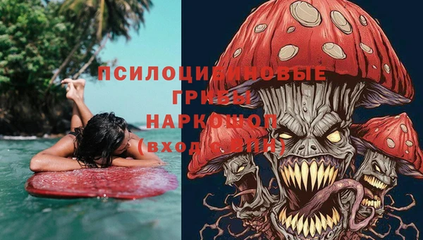 метадон Алексин