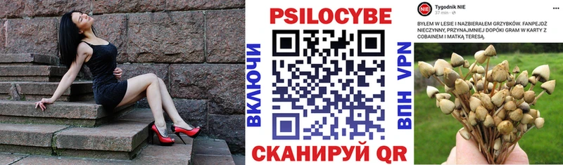 Псилоцибиновые грибы мицелий  Сысерть 